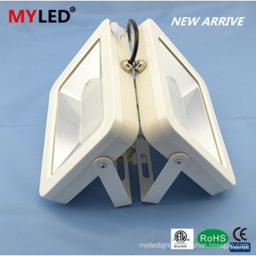 CE and RoHS Certification and led Lights Item Type 30w 6000k 7000k pure white waterproof flood light outdoor